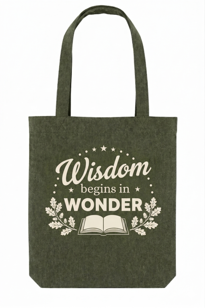 Best School Bags in Nigeria- University-carry-bag